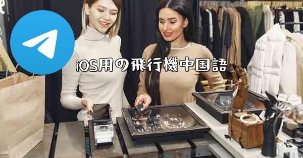 iOS用の飛行機中国語