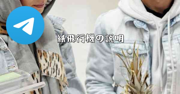 紙飛行機の説明