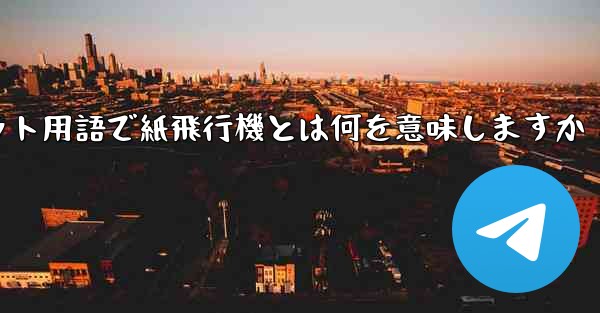 インターネット用語で紙飛行機とは何を意味しますか