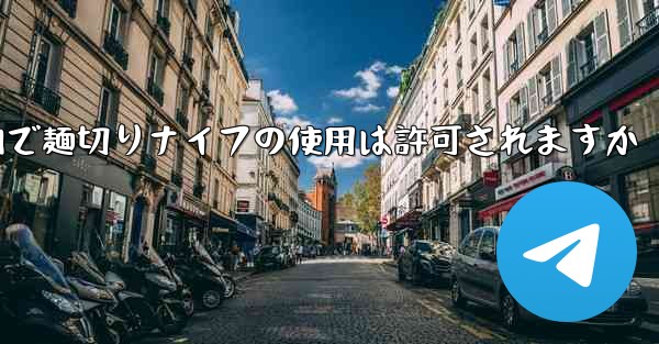 飛行機内で麺切りナイフの使用は許可されますか
