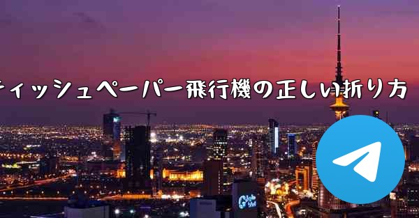 ティッシュペーパー飛行機の正しい折り方