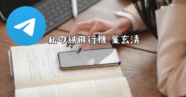 私の紙飛行機 葉玄清