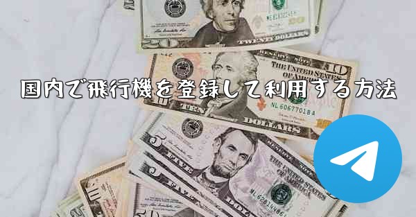 国内で飛行機を登録して利用する方法