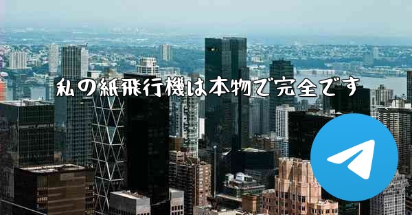 私の紙飛行機は本物で完全です