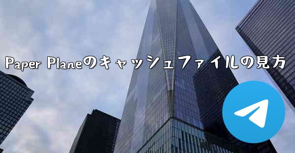 Paper Planeのキャッシュファイルの見方