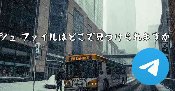紙飛行機のキャッシュ ファイルはどこで見つけられますか