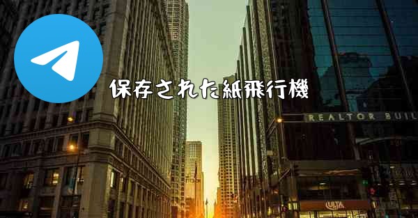 保存された紙飛行機