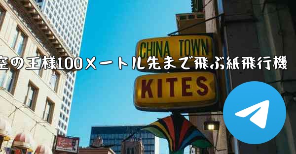 空の王様100メートル先まで飛ぶ紙飛行機