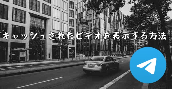 Paper Plane でキャッシュされたビデオを表示する方法