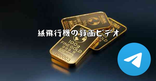 紙飛行機の録画ビデオ