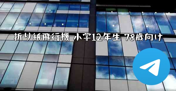 折り紙飛行機 小学12年生 78歳向け