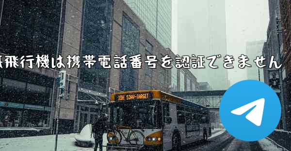 紙飛行機は携帯電話番号を認証できません