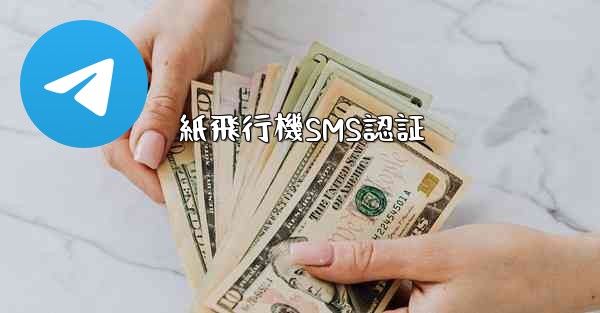 紙飛行機SMS認証