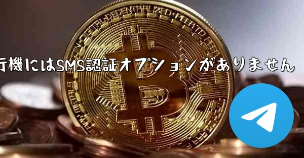 紙飛行機にはSMS認証オプションがありません