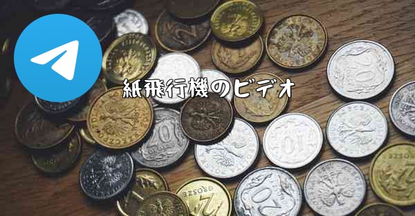 紙飛行機のビデオ