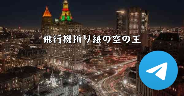 飛行機折り紙の空の王
