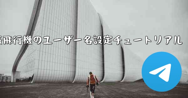 紙飛行機のユーザー名設定チュートリアル
