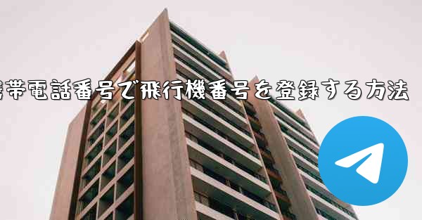 国内携帯電話番号で飛行機番号を登録する方法