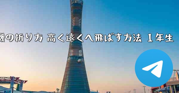 紙飛行機の折り方 高く遠くへ飛ばす方法 １年生