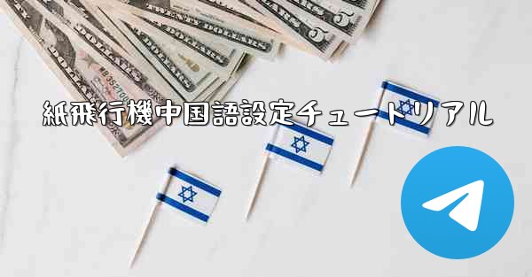 紙飛行機中国語設定チュートリアル