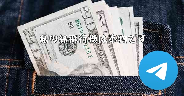 私の紙飛行機は本物です