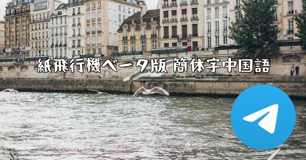 紙飛行機ベータ版 簡体字中国語