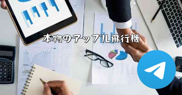 本物のアップル飛行機