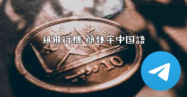 紙飛行機 簡体字中国語