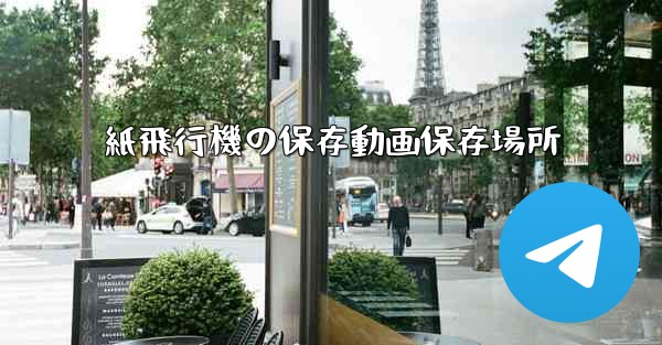 紙飛行機の保存動画保存場所
