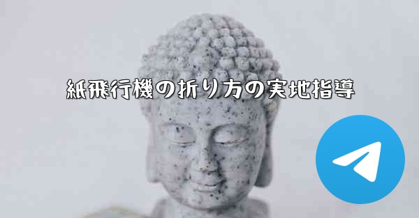 紙飛行機の折り方の実地指導