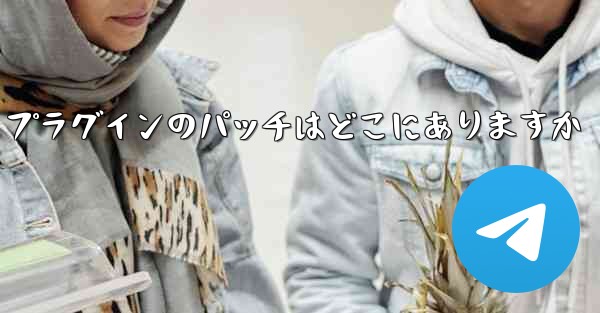 Paper Plane プラグインのパッチはどこにありますか