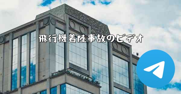 飛行機着陸事故のビデオ