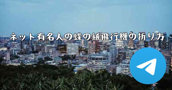 ネット有名人の蝶の紙飛行機の折り方