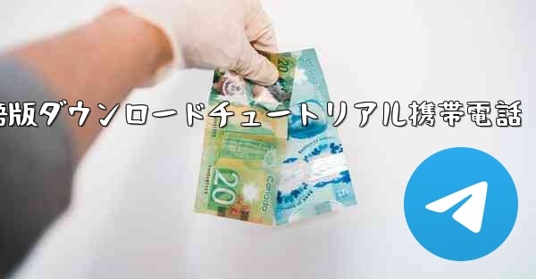 シンプルな飛行機中国語版ダウンロードチュートリアル携帯電話