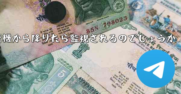 紙飛行機から降りたら監視されるのでしょうか