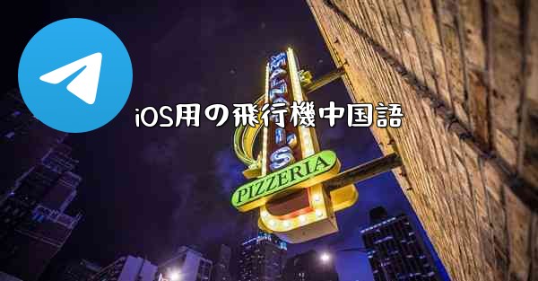 iOS用の飛行機中国語