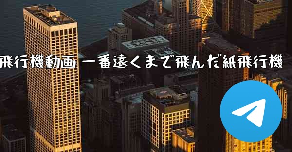 折り紙飛行機動画 一番遠くまで飛んだ紙飛行機