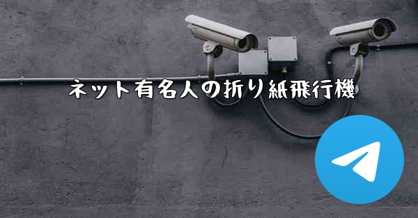 ネット有名人の折り紙飛行機