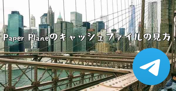 Paper Planeのキャッシュファイルの見方