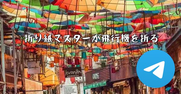 折り紙マスターが飛行機を折る