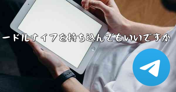 飛行機にヌードルナイフを持ち込んでもいいですか