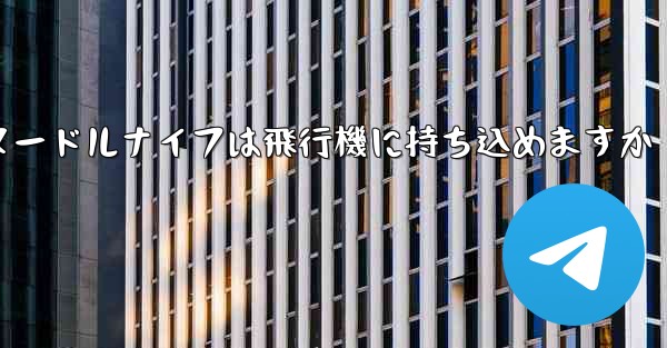 ヌードルナイフは飛行機に持ち込めますか