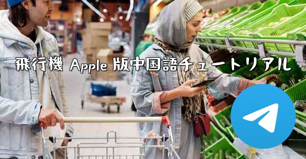 飛行機 Apple 版中国語チュートリアル