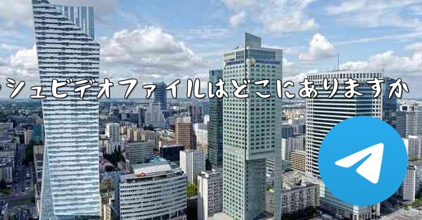 Paper Plane のキャッシュビデオファイルはどこにありますか