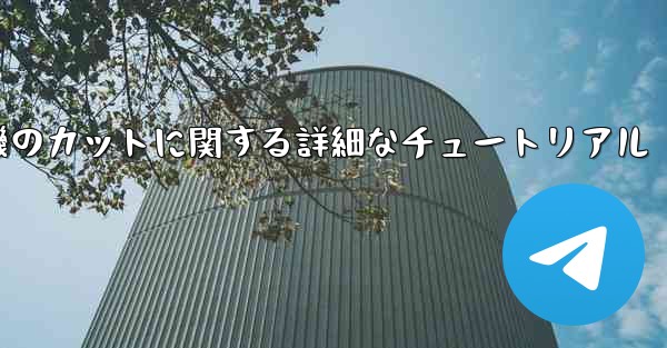ティッシュペーパー飛行機のカットに関する詳細なチュートリアル
