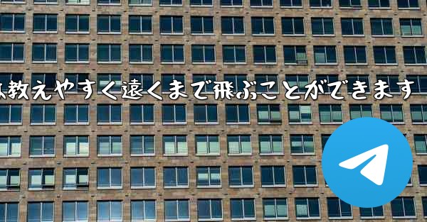 紙飛行機は教えやすく遠くまで飛ぶことができます