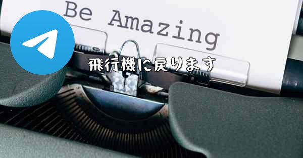 飛行機に戻ります