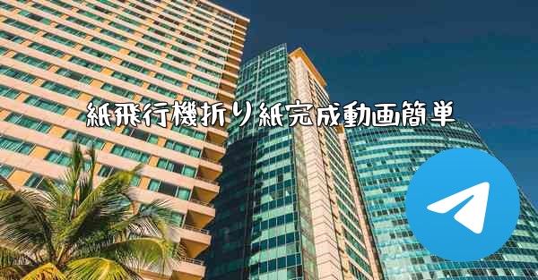 紙飛行機折り紙完成動画簡単