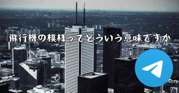 飛行機の模様ってどういう意味ですか