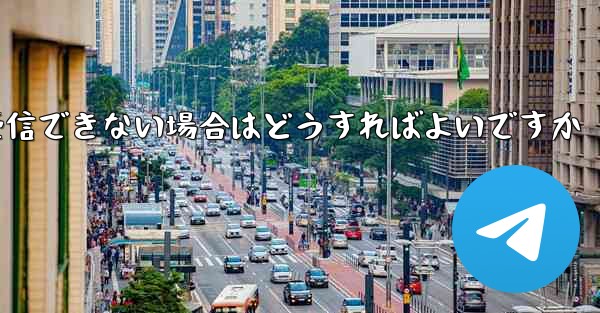 Paper Plane が認証テキスト メッセージを受信できない場合はどうすればよいですか